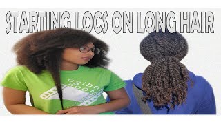 Starter Locs on Long Hair | 8 week update