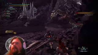 Monster Hunter World Playthrough BLIND Part 9