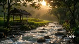 Forest Stream Sounds in Rice Fields 🌿 Relaxing Nature Ambience for Deep Sleep & Stress Relief 