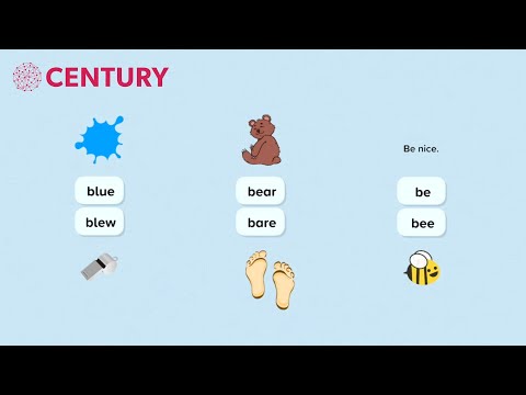 Introduction to Homophones | SPaG | Primary
