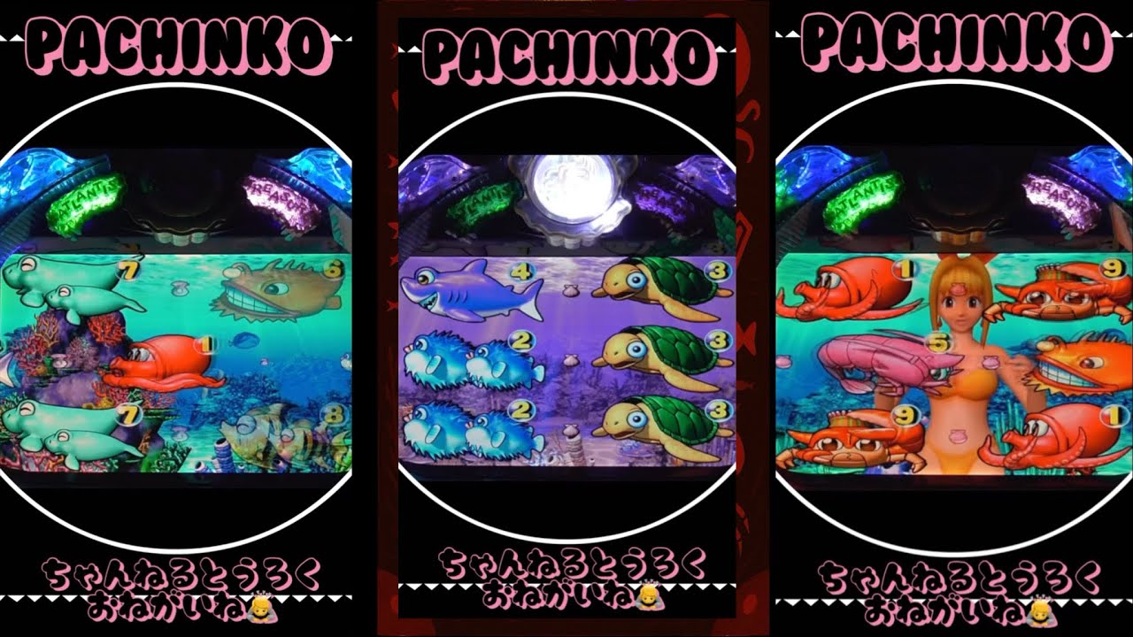 【大海物語スペシャルMTE】パチンコJAPANESE GAME 縦型！2026年2月2日❶【実機/リアル】