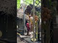 Kallely Oorali Appooppan Kavu (original sanctum | Konni | Pathanamthitta | Traditional Temple
