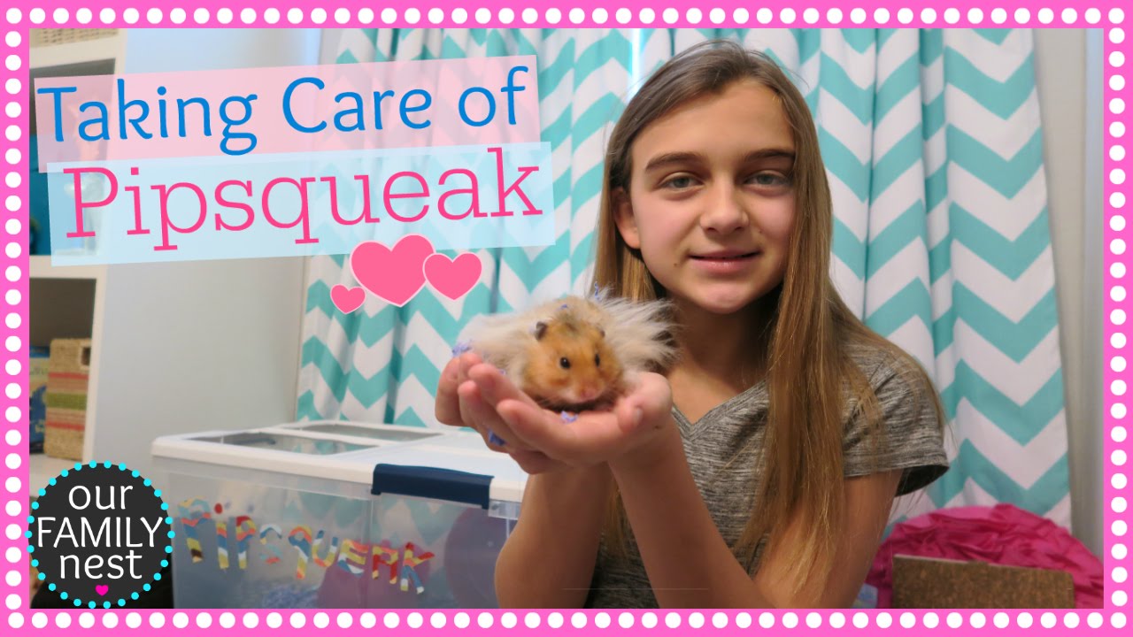 TAKING CARE OF MY HAMSTER