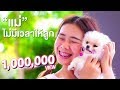 แม่ไม่มีเวลาให้ลูก หนังสั้น | Pony Kids