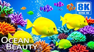 Clownfish World 8K ULTRA HD | Stunning Jellyfish Glow, Coral Reefs, Aquarium Life & Relaxing Music 🐠 screenshot 5
