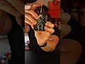 FRAGRANCE ASMR: #cologne #fragrance #asmr #colognes #fragrances
