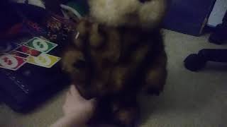 Famous (gemmy) caddyshack dancing gopher Wealth