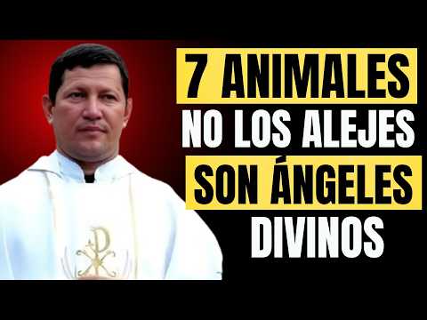 ¿Por Qué El PADRE LUIS TORO Dice Que NUNCA Debes Ahuyentar A Estos 7 ANIMALES?