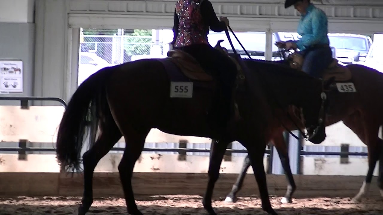 19 39 Wester Pleasure Sat Aug 2017 LMHA Show Shez Got Good CD 2012 AQHA