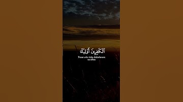 ﴿بشر المنافقين بأن لهم عذابا أليما﴾سورة النساء أحمد العبيدMuslim book#قرآن