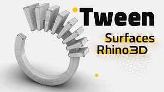 Tween Surfaces | Rhinoceros 3D