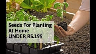 Seeds For Home Planting (घर पे पौधे बोन के लिए बीज) :Under Rs.199 On Amazon (किफायती दाम में ख़रीदे)