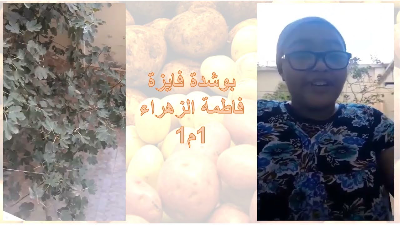 مشاريع السنة 1 متوسط مشروع زراعة البطاطا في المنزل الجزء الاول