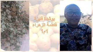 مشاريع السنة 1 متوسط مشروع زراعة البطاطا في المنزل الجزء الاول