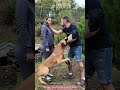 🐶 These Dogs Would Do Anything to Protect Their Humans ❤️ #dog #protection #baby #love #foryou