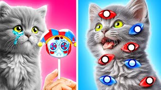 Salve meu gatinho do circo digital 😩🙏 *Gadgets e artesanato para animais de estimação*