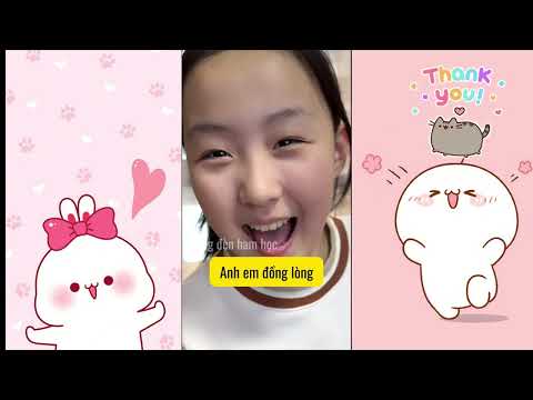 Tổng hợp video