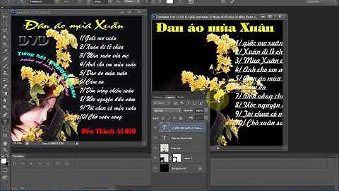 Thiết kế nhãn đĩa DVD