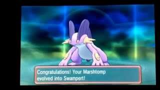 Shiny Mudkip Evolutions PLUS SHINY MEGA SWAMPERT!