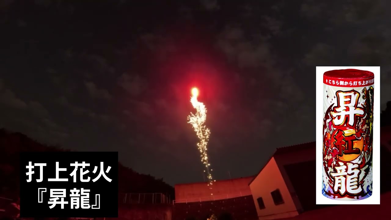 昇龍 No.450 | 打ち上げ花火,打ち上げ花火（単発） | eはなびやさん