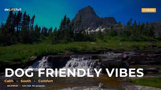 Serene Mountain Meadow | 8 Hrs | Anxiety & Separation Relief | Calming Music for Dogs | deLIFEfull