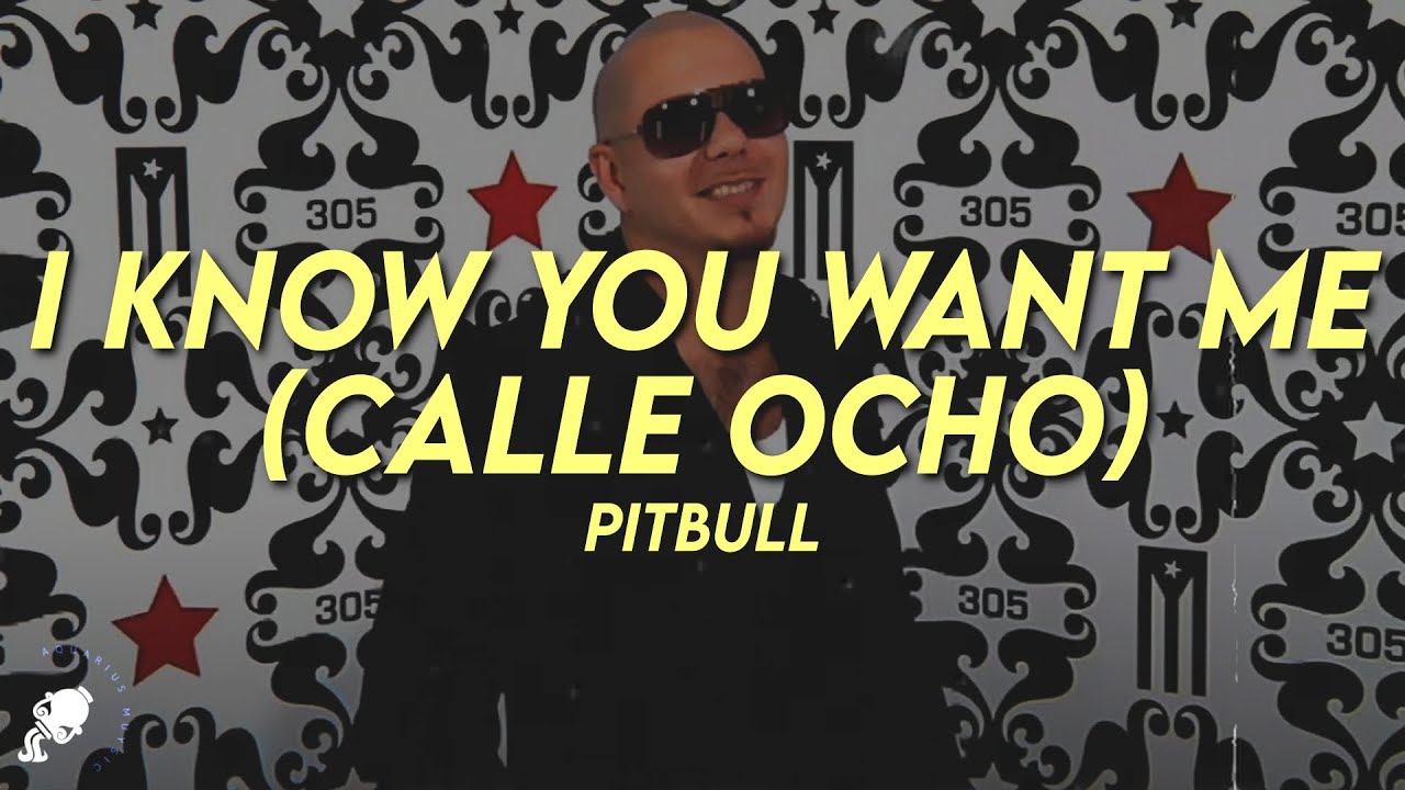 Pitbull - I Know You Want Me (Calle Ocho) (Lyrics)