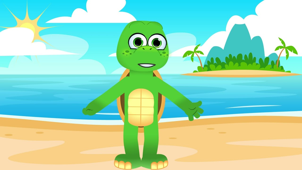 Turtle kids intro video 