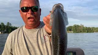 Are you moving with the Crappie?  -  High Rock Lake