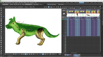 OpenToonz Tutorial - The Dog Run Cycle Course - a look at Lesson 1 