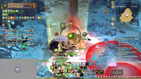 [Tree of Savior] White Witch Forest (Hard) With Guildmate