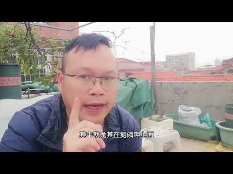 比HB101强10倍？春季养花必备“良药”，杀菌、施肥、土壤改良