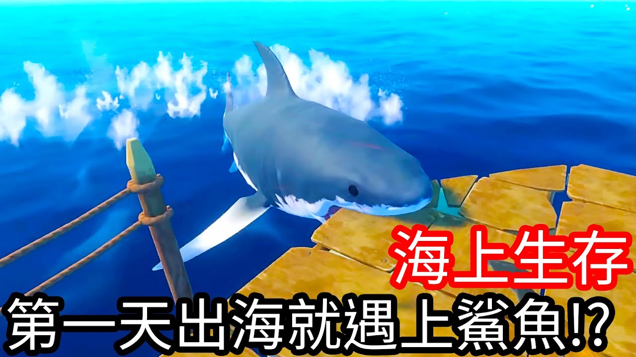 【Kim阿金】海上生存 第一天出海就遇上鯊魚!?《Raft》