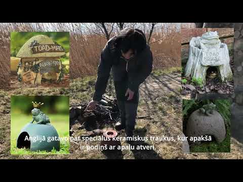 Video: Kā uzbūvēt vistu māju?