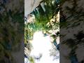 deewana main #song #trending #love #viral #shorts