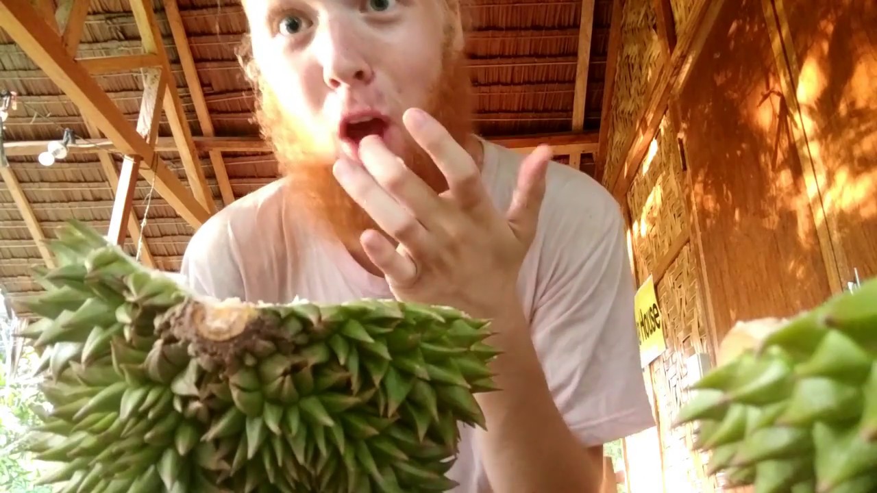 Eco Hilltop resort review//Kaputian, Samal island//Philippines//A day in the life