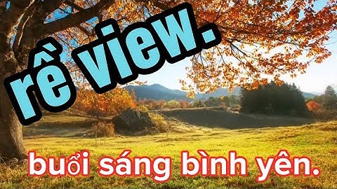Buổi sáng bình yên trên con đường quen thuộc #ândêlôc [][]