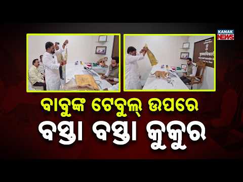 ବାବୁଙ୍କ ଟେବୁଲ୍ ଉପରେ ବସ୍ତା ବସ୍ତା କୁକୁର Special Report On Nashik Stray Dog Protest |On Officer's Table