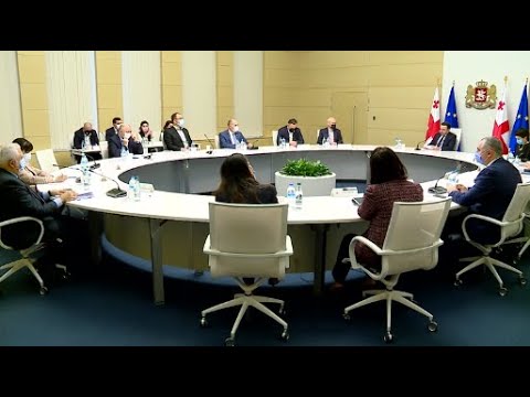 გახდა თუ არა ღარიბაშვილისა და ტიკარაძის  მორიგი უთანხმოების მიზეზი ე.წ. უვადო მწვანე პასპორტი