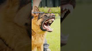 Other Family Dog Protection vs This Dog ☠️
