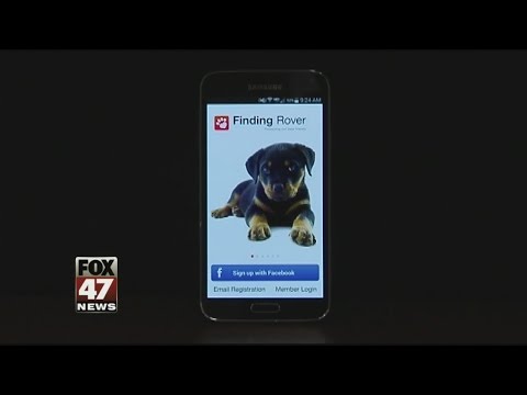 Special Report: Pet Facial Recognition