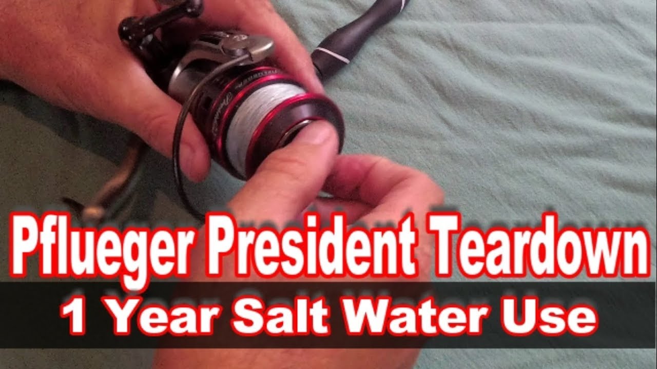 Pflueger President Teardown After 1 year Salt Use 