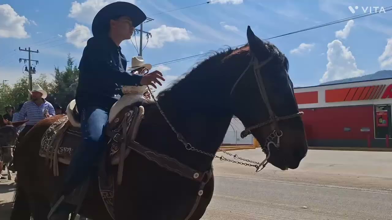 Y fuga por la 300🐴🐴🐴🐴