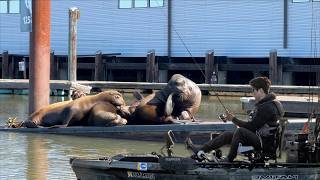 Fisherman’s Wharf: Freshwater edition