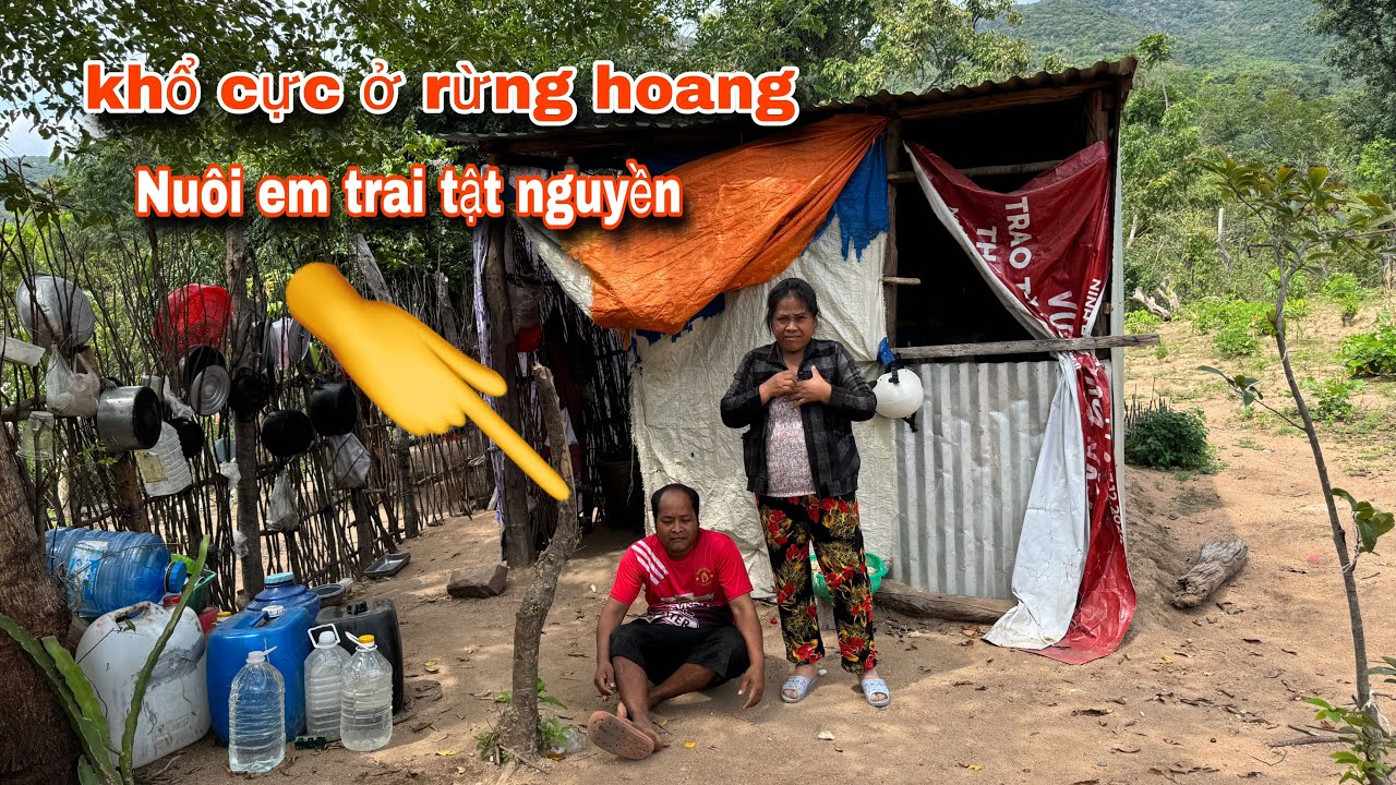 HOÀN CẢNH NGHÈO KHỔ ở rừng hoang NUÔI EM TRAI BỆNH TẬT từ nhỏ || 263