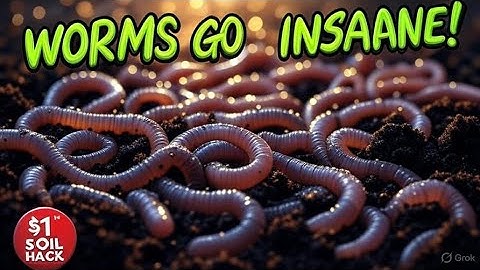 This $1 Kitchen Scrap EXPLODES Soil Life in 7 Days (Earthworms Multiply Like CRAZY!)
