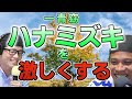 『ハナミズキ』を激しい感じにアレンジしてみた/一青窈【虹色侍の即興作曲】