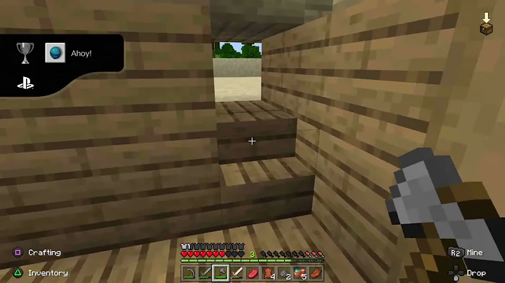 Minecraft_202203...