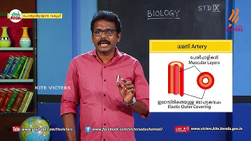 KITE VICTERS STD 09 Biology Class 15 (First Bell-ഫസ്റ്റ് ബെല്‍)