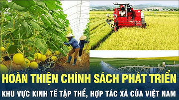 Hoàn thiện chính sách phát triển khu vực kinh tế tập thể, hợp tác xã của Việt Nam | VOV