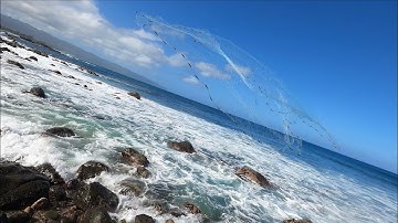 Throw Net Hawaii - Ha